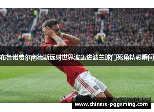 布鲁诺费尔南德斯远射世界波轰进波兰球门死角精彩瞬间