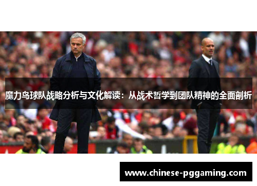 魔力鸟球队战略分析与文化解读：从战术哲学到团队精神的全面剖析